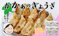 国産 無添加 かかぁのぎょうざ 120個セット (30個×4) | 餃子 えばらハーブ豚 ヘルシー ギョウザ  冷凍食品 お取り寄せ 点心 おかず おつまみ 惣菜 詰め合わせ 簡単調理 セット 中華料理 群馬県 前橋市