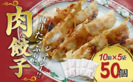 肉餃子 50個セット (10個×5袋) 冷凍 | 小分け 餃子 肉 ギョウザ 冷凍餃子 冷凍食品 時短 焼くだけ 子ども お取り寄せ 点心 おかず おつまみ 惣菜 詰め合わせ 簡単調理 セット 中華料理 群馬県 前橋市