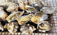 【先行予約】 加熱用 殻付き牡蠣 真牡蠣 約2kg 【2026年2月上旬-3月上旬発送予定】　牡蠣 かき カキ 海鮮 海産物 冷蔵