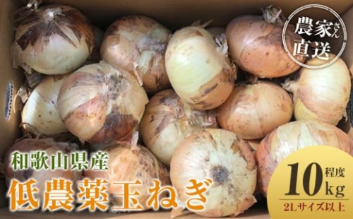 ［2026年発送分・先行予約］農家さん直送 低農薬玉ねぎ 2Lサイズ以上 10kg程度［4月中旬～7月中旬頃発送予定］［KF15］ 2313528 - 和歌山県那智勝浦町