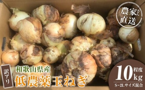 ［2026年発送分・先行予約］訳あり 農家さん直送 低農薬玉ねぎ 10kg程度 S～2L混合［4月中旬～7月中旬頃発送予定］ご家庭用 ※傷有り［KF14］ 2313529 - 和歌山県那智勝浦町