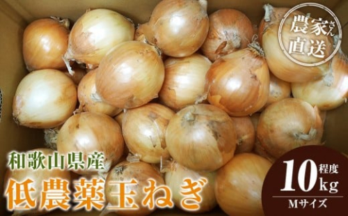 ［2026年発送分・先行予約］農家さん直送 低農薬玉ねぎ Mサイズ 10kg程度［4月中旬～7月中旬頃発送予定］［KF17］ 2313531 - 和歌山県那智勝浦町