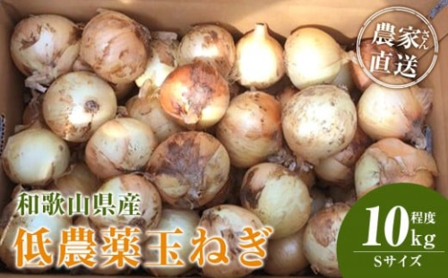 ［2026年発送分・先行予約］農家さん直送 低農薬玉ねぎ Sサイズ 10kg程度［4月中旬～7月中旬頃発送予定］［KF18］ 2313532 - 和歌山県那智勝浦町
