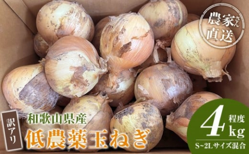 ［2026年発送分・先行予約］訳あり 農家さん直送 低農薬玉ねぎ 4kg程度 S～2L混合［4月中旬～7月中旬頃発送予定］ご家庭用 ※傷有り［KF19］ 2313534 - 和歌山県那智勝浦町