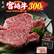 宮崎牛シャトーブリアンステーキ2枚(合計300g)_AG-N301
