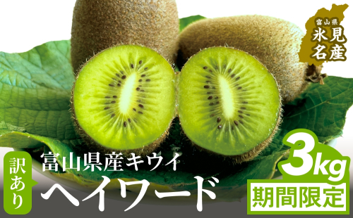 【先行予約】 訳ありヘイワード3kg（小玉、異形、擦り傷、日焼け）  【2025年12月中旬以降順次発送】 数量限定 希少 国産 甘い 氷見キウイランド 富山県 氷見市 2313644 - 富山県氷見市