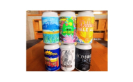 クラフトビール 限定6種類 6本セット