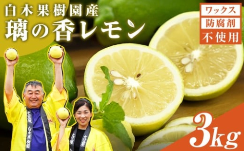 【先行予約】レモン 約3kg 8～15個〈2026年10月下旬～12月上旬頃発送〉  /  璃の香レモン 果物 くだもの 柑橘 フルーツ れもん お取り寄せ 産地直送 おいしい 美味しい 白木果樹園 常温 配送 高知県 高知 土佐市【白木果樹園】 [BQAI025] 2313972 - 高知県土佐市
