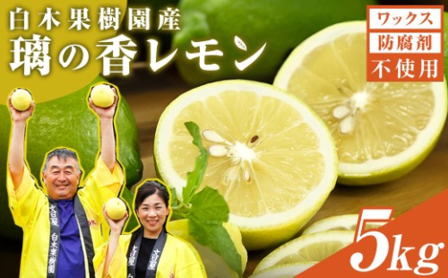 【先行予約】レモン 約5kg 12～25個〈2026年10月下旬～12月上旬頃発送〉  / 璃の香レモン 果物 くだもの 柑橘 フルーツ れもん お取り寄せ 産地直送 おいしい 美味しい 白木果樹園 常温 配送 高知県 高知 土佐市【白木果樹園】 [BQAI026] 2313973 - 高知県土佐市