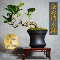 金彩植木鉢 ミニ盆栽 多肉植物 手作り 植木鉢 うえきばち 一点もの 鉢 観葉植物 ガーデニング おしゃれ こだわりの逸品 地域特産品 ギフト 自分用 人気 おすすめ 大阪 河内長野 プレゼント 父の日 母の日 敬老の日 誕生日 お祝い 陶芸