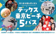 デックス東京ビーチ5パス