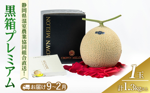 黒箱プレミアム (冬9～2月) 果物 メロン 青肉 フルーツ デザート 高級メロン ブランドメロン 袋井市 静岡県 2314299 - 静岡県袋井市