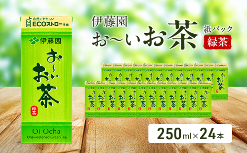 お～いお茶 緑茶 紙パック 250ml×24本 お茶 飲み物 飲料 国産茶葉 伊藤園 静岡県 袋井市 2314306 - 静岡県袋井市