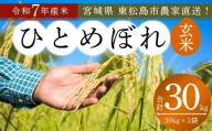 【 令和7年産】【新米】【2025年10月中旬～下旬順次発送予定】 ひとめぼれ 玄米 30kg × 1袋 宮城県産東松島市農家直送 ヒトメボレ 米 ご飯 ごはん おにぎり お弁当 お米 こめ 宮城県 東松島市 オンラインワンストップ 自治体マイページ