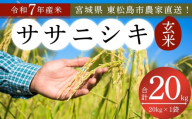 【 令和7年産】【新米】【2025年10月中旬～下旬順次発送予定】 ササニシキ 玄米 20kg × 1袋 宮城県産東松島市農家直送 ささにしき 米 ご飯 ごはん おにぎり お弁当 お米 こめ 宮城県 東松島市 オンラインワンストップ 自治体マイページ