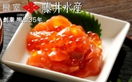 C-42025 【北海道根室産】＜鮭匠ふじい＞漬けサーモン丼の具14P