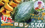 カボチャ 旨味がトロけるロロンで幸せな一時を 約5500g　100P3261 / 東北 秋田 大館 野菜 新鮮 農産物 農家 かぼちゃ カボチャ ロロン ろろん 農家直送 シチュー プリン