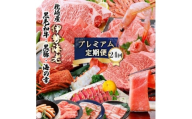 プレミアム定期便　枕崎産天然伊勢海老　鹿児島県産　黒毛和牛・黒豚　海の幸　24回配送 EX-0001_ A5等級 シャトーブリアン 伊勢海老 肉 お肉 牛 牛肉 豚肉 焼肉 【1674480】