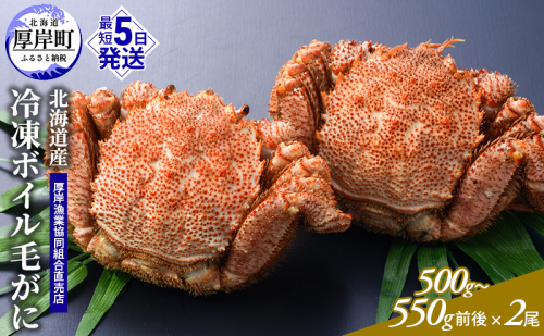 訳あり 3D冷凍 北海道産冷凍ボイル毛がに 500g～550g前後×2尾 [ 毛カニ 蟹 毛ガニ カニ かに ]  2316049 - 北海道厚岸町