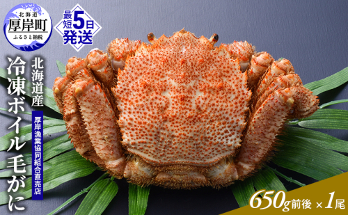 訳あり 3D冷凍 北海道産冷凍ボイル毛がに 650g前後×1尾 [ 毛カニ 蟹 毛ガニ カニ かに ]  2316050 - 北海道厚岸町