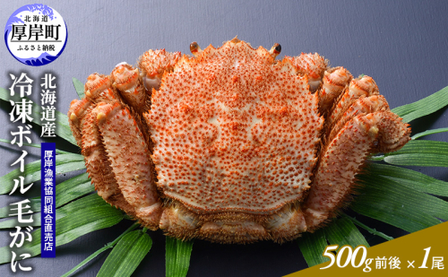 カニ 3D冷凍 北海道産 冷凍 ボイル 毛がに 500g前後×1尾 【厚岸漁業協同組合】[ 毛カニ 蟹 毛ガニ カニ かに ]  2316050 - 北海道厚岸町