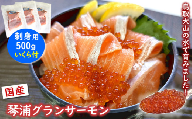 薬剤未使用で安心　国産とっとり琴浦グランサーモン刺身用500g いくら付 訳あり 小分け個包装で便利