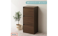 【完成品でお届け】扉付きカラーボックス〔3段〕（ウォールナット）カラーボックス 扉付き 3段 木製 収納棚 扉付き本棚 リビング キッチン 寝室 雑貨 小物 収納 収納ボックス 隙間収納 ラック AKANBR920131-0-WAL