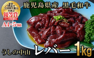 うしの中山 A4・A5等級黒毛和牛 レバー 計1kg（500g×2P）黒毛和牛 和牛 肉 ホルモン 国産 九州産 鹿児島県産 焼肉 炒め物  牛レバー 冷凍 日本一 a5-346