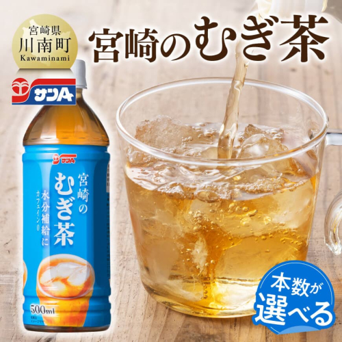 ※本数が選べる※サンA宮崎のむぎ茶　500ml PET 【 飲料 お茶 麦茶 宮崎県産 ペットボトル 】
 2316521 - 宮崎県川南町