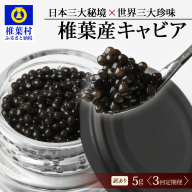【3回定期便】【訳あり】 国産 キャビア HEIKE CAVIAR 5g × 3回 計15g 【世界三大珍味×日本三大秘境】 SZ-115_3teiki