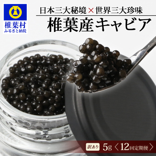【12回定期便】【訳あり】 国産 キャビア HEIKE CAVIAR 5g × 12回 計60g 【世界三大珍味×日本三大秘境】SZ-115_12teiki 2316628 - 宮崎県椎葉村