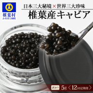 【12回定期便】【訳あり】 国産 キャビア HEIKE CAVIAR 5g × 12回 計60g 【世界三大珍味×日本三大秘境】SZ-115_12teiki