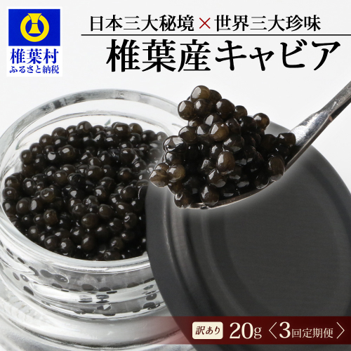 【3回定期便】【訳あり】 国産 キャビア HEIKE CAVIAR 20g × 3回 計60g 【世界三大珍味×日本三大秘境】SZ-117_3teiki 2316632 - 宮崎県椎葉村