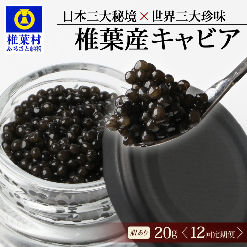【12回定期便】【訳あり】 国産 キャビア HEIKE CAVIAR 20g × 12回 計240g 【世界三大珍味×日本三大秘境】SZ-117_12teiki 2316634 - 宮崎県椎葉村