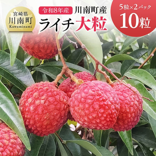 【令和8年産】川南町産ライチ（大粒）10粒(5粒×2パック) 【 国産ライチ フルーツ デザート 宮崎県産 】 2316646 - 宮崎県川南町