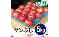 ＜25年11月より順次発送＞平均糖度13度以上! サンふじ 約5kg 訳あり【1667951】
