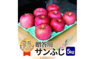 ＜26年1月出荷予定＞平均糖度13度以上! サンふじ 約5kg 贈答【1667986】