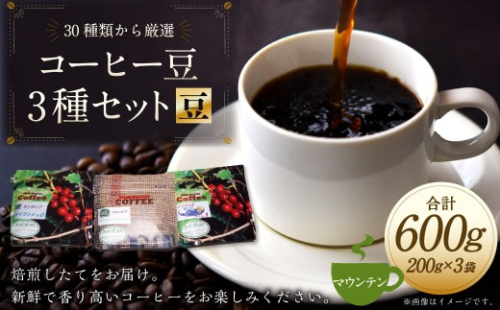 コーヒー豆 3種類 セット 【豆】 （マウンテンセット） 珈琲 コーヒー マウンテン 厳選 岐阜県 美濃加茂市 2317762 - 岐阜県美濃加茂市