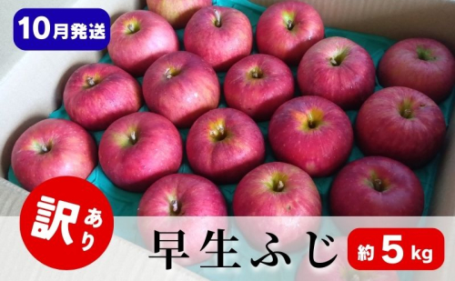 りんご【10月発送】訳あり 早生ふじ 約5kg 青森県 りんご リンゴ 林檎 フルーツ くだもの 果物 青森県 りんご デザート 旬の果物 2317792 - 青森県鶴田町