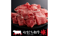 ＜やまぐち和牛燦(きらめき)＞切り落とし 400g(防府市)【1645465】