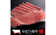 ＜やまぐち和牛燦(きらめき)＞ももスライス 500g(防府市)【1645468】