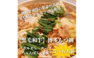 ＜黒毛和牛小腸＞博多もつ鍋セット(濃縮テールスープ・チャンポン麺・薬味付)5～6人前【1642433】