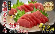 【定期便 12回】高知県産 本マグロ 赤身 養殖 2柵 300g (不定貫)