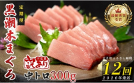【定期便 12回】高知県産 本マグロ 中トロ 養殖 2柵 300g (不定貫)
