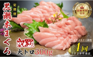 【定期便 4回】高知県産 本マグロ 大トロ 養殖 2柵 300g (不定貫)