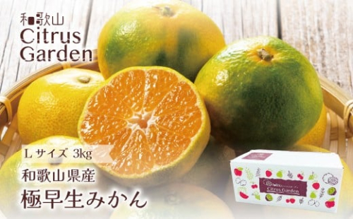 和歌山県産 極早生みかん 家庭用 Lサイズ 3kg ［Sn7］ 2318359 - 和歌山県上富田町