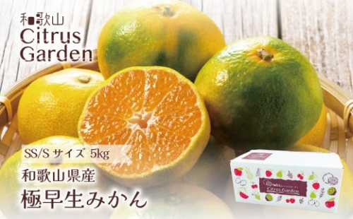 和歌山県産 極早生みかん 家庭用 小玉（SSかSのいずれか、またはサイズ混合） 5kg ［Sn11］ 2318363 - 和歌山県上富田町