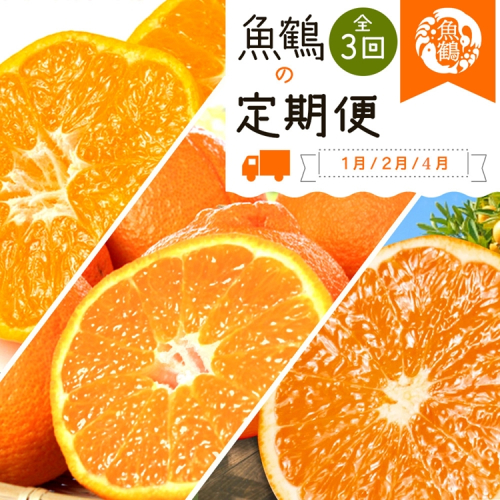 〈定期便〉【1・2・4月 全3回】紀州和歌山産旬の柑橘セット(みかん・不知火・清見) 2318432 - 和歌山県美浜町