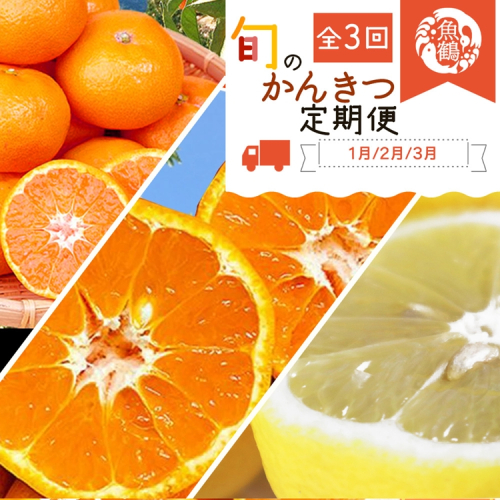 〈定期便〉【1・2・3月 全3回】紀州和歌山産旬のフルーツセット(みかん・不知火・レモン) 2318436 - 和歌山県美浜町