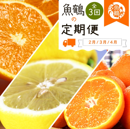 〈定期便〉【2・3・4月 全3回】紀州和歌山産旬の柑橘セット(不知火・レモン・清見) 2318447 - 和歌山県美浜町